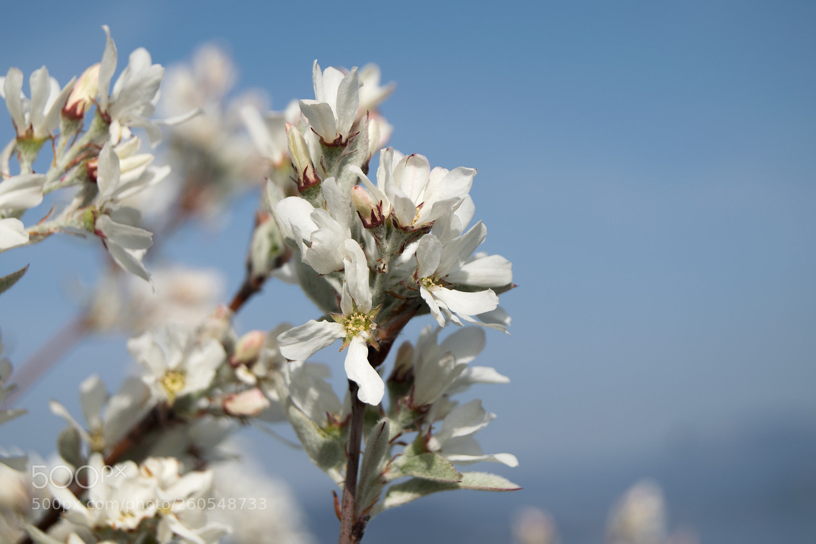 Nikon D3300 sample photo. Untitled photography