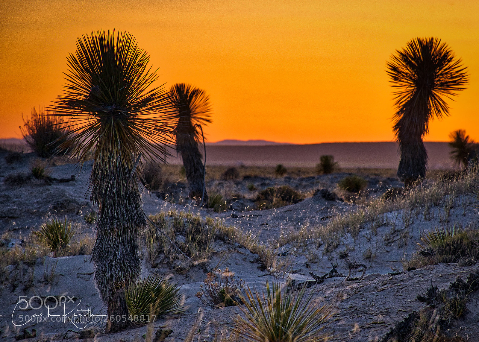 Nikon D7200 sample photo. Desert sunset photography