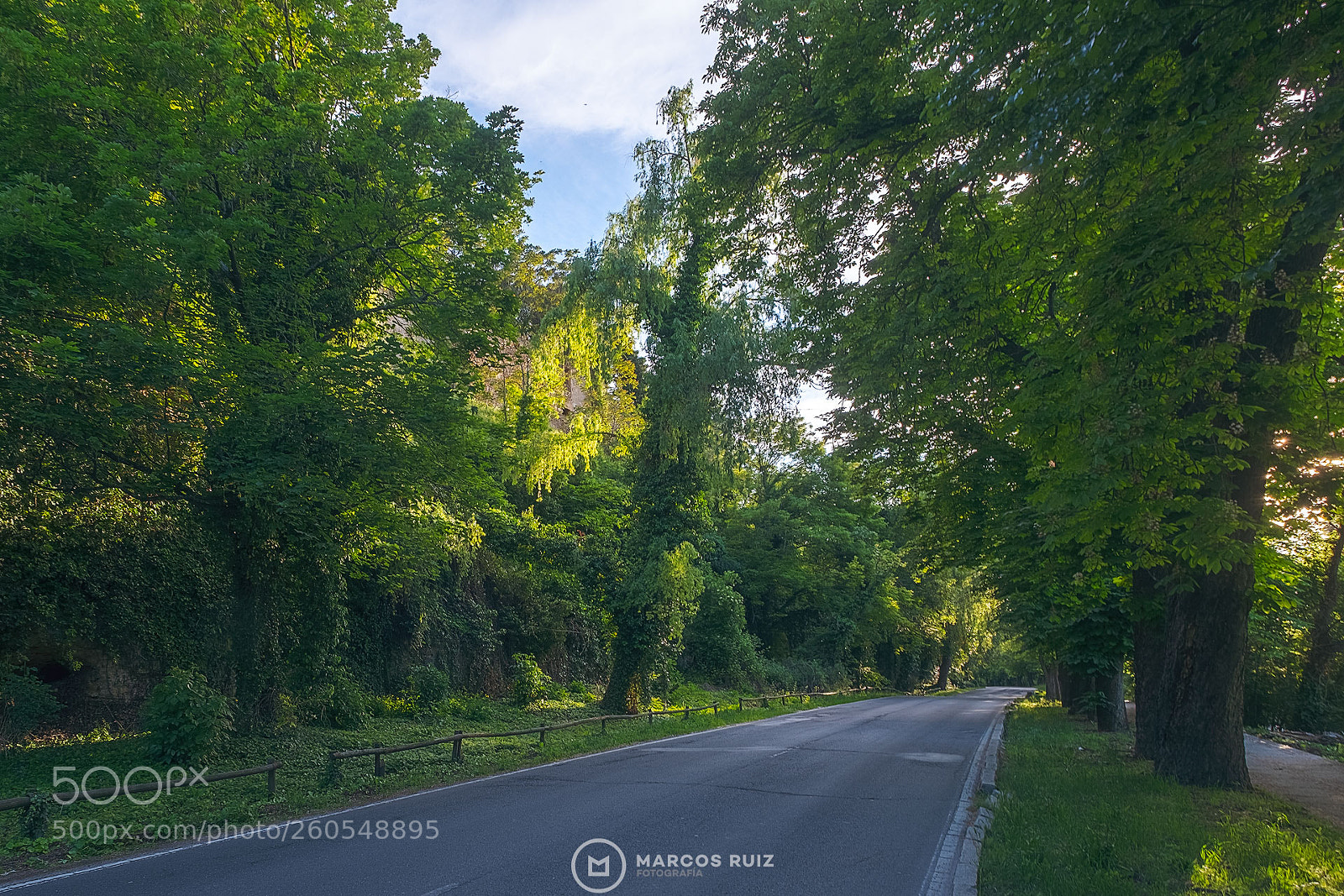 Fujifilm X-T2 sample photo. Segovia verde photography
