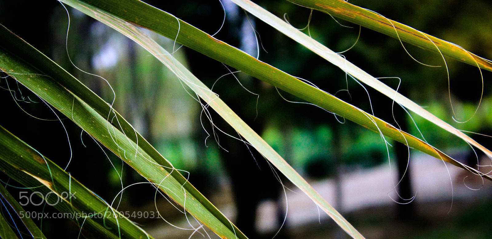 Canon EOS 7D sample photo. Untitled photography