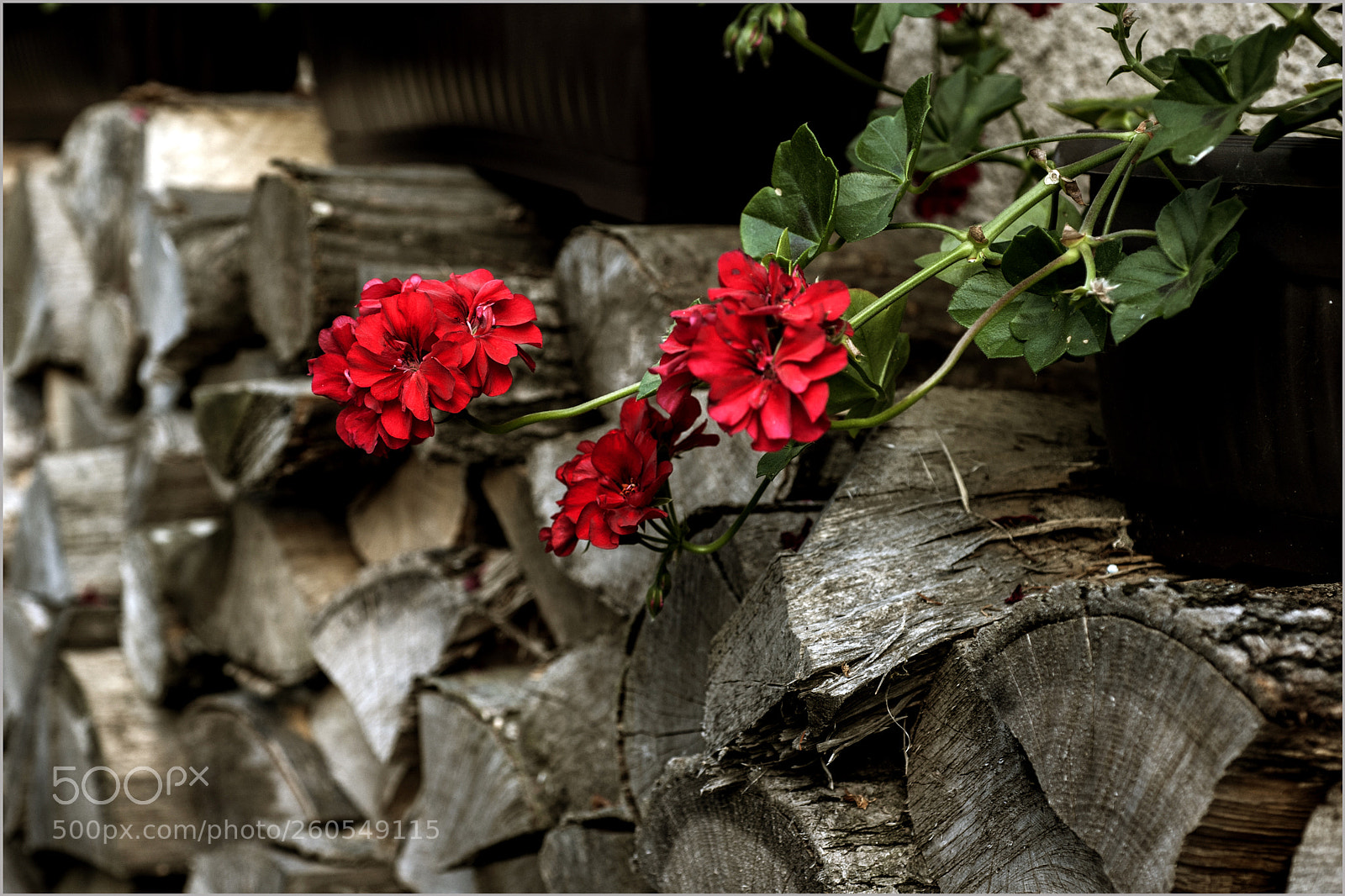 Nikon D700 sample photo. *** photography