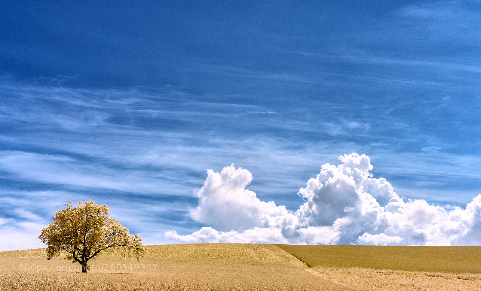 Sony a7 sample photo. Chasing clouds photography