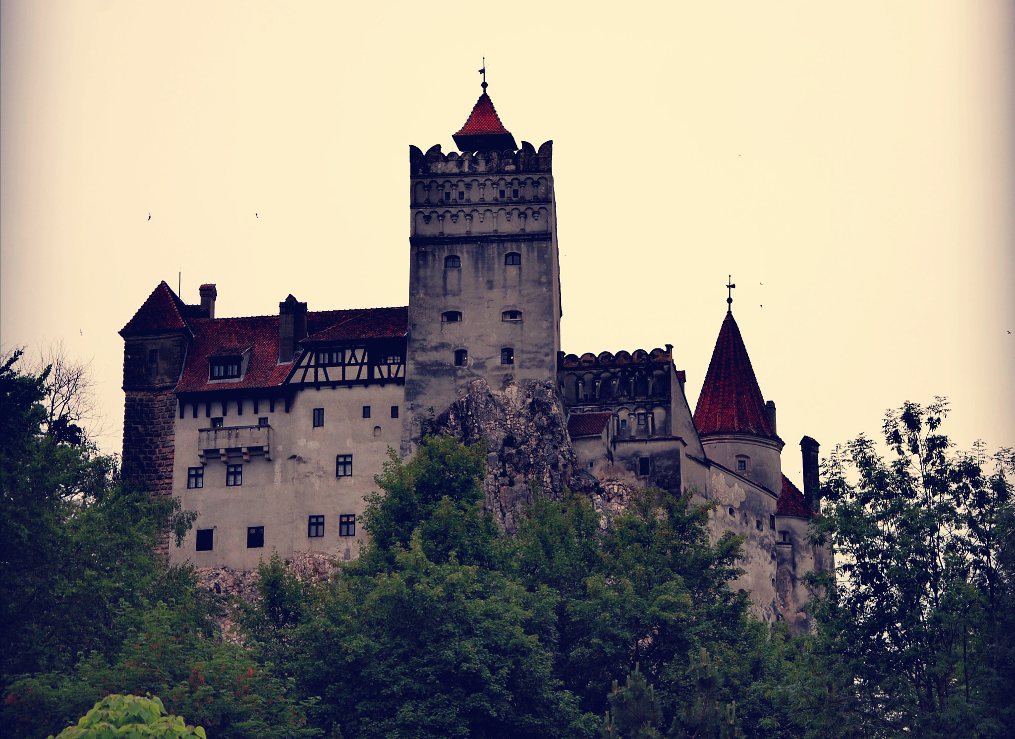 Nikon D40 sample photo. Bran castle photography