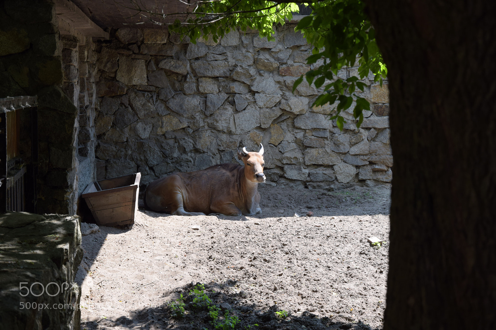Nikon D3300 sample photo. Untitled photography