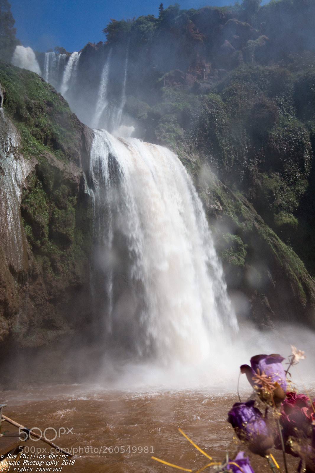 Canon EOS 6D sample photo. Ouzoud falls with roses photography
