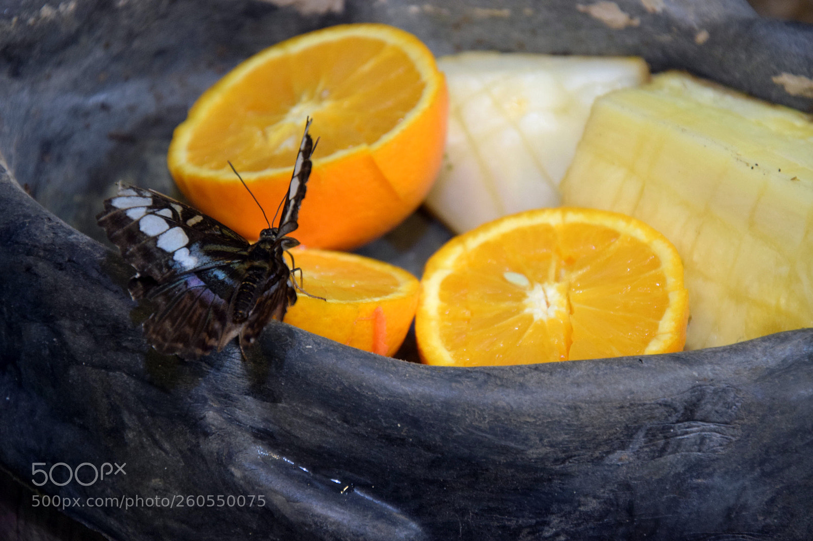 Nikon D3300 sample photo. Untitled photography