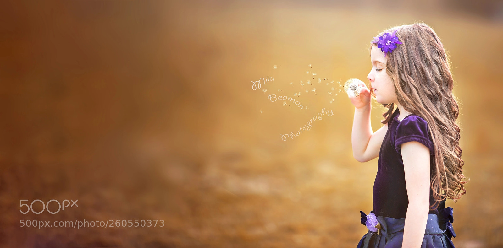 Canon EOS 6D sample photo. Tiny parachutes photography