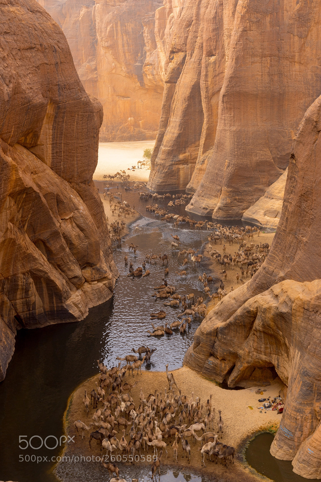 Canon EOS 6D Mark II sample photo. Guelta d’archei, chad photography