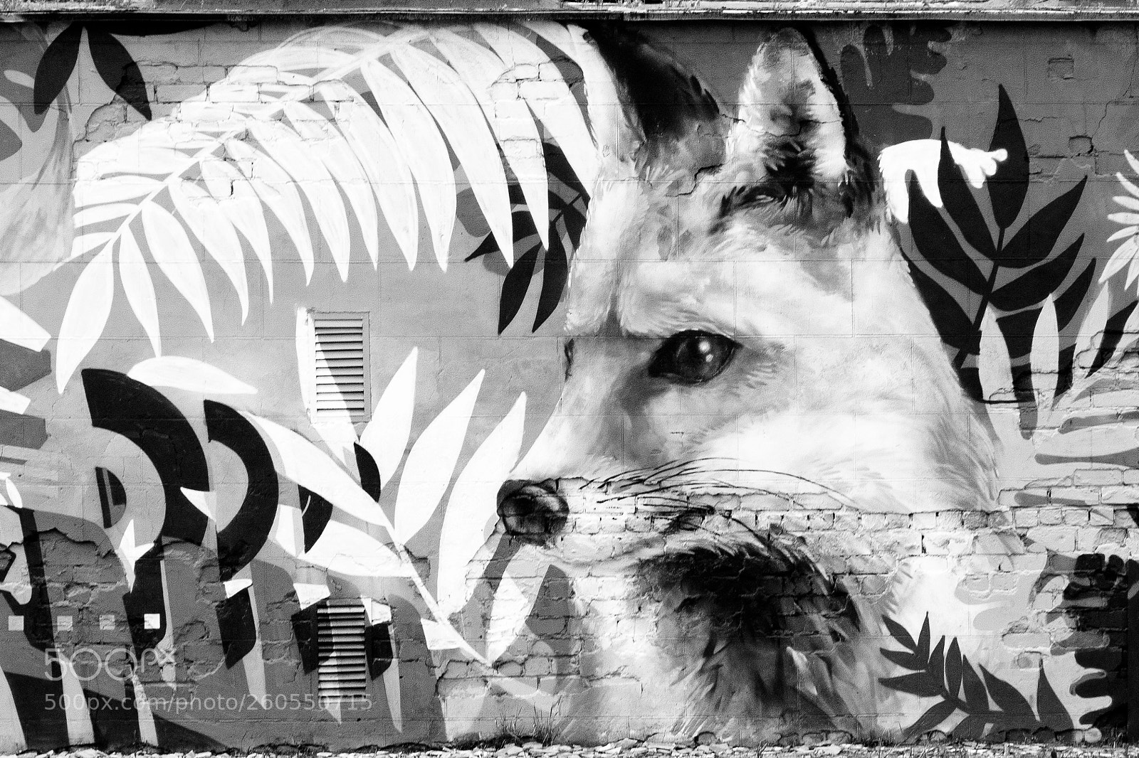 Canon EOS 1100D (EOS Rebel T3 / EOS Kiss X50) sample photo. Street art photography
