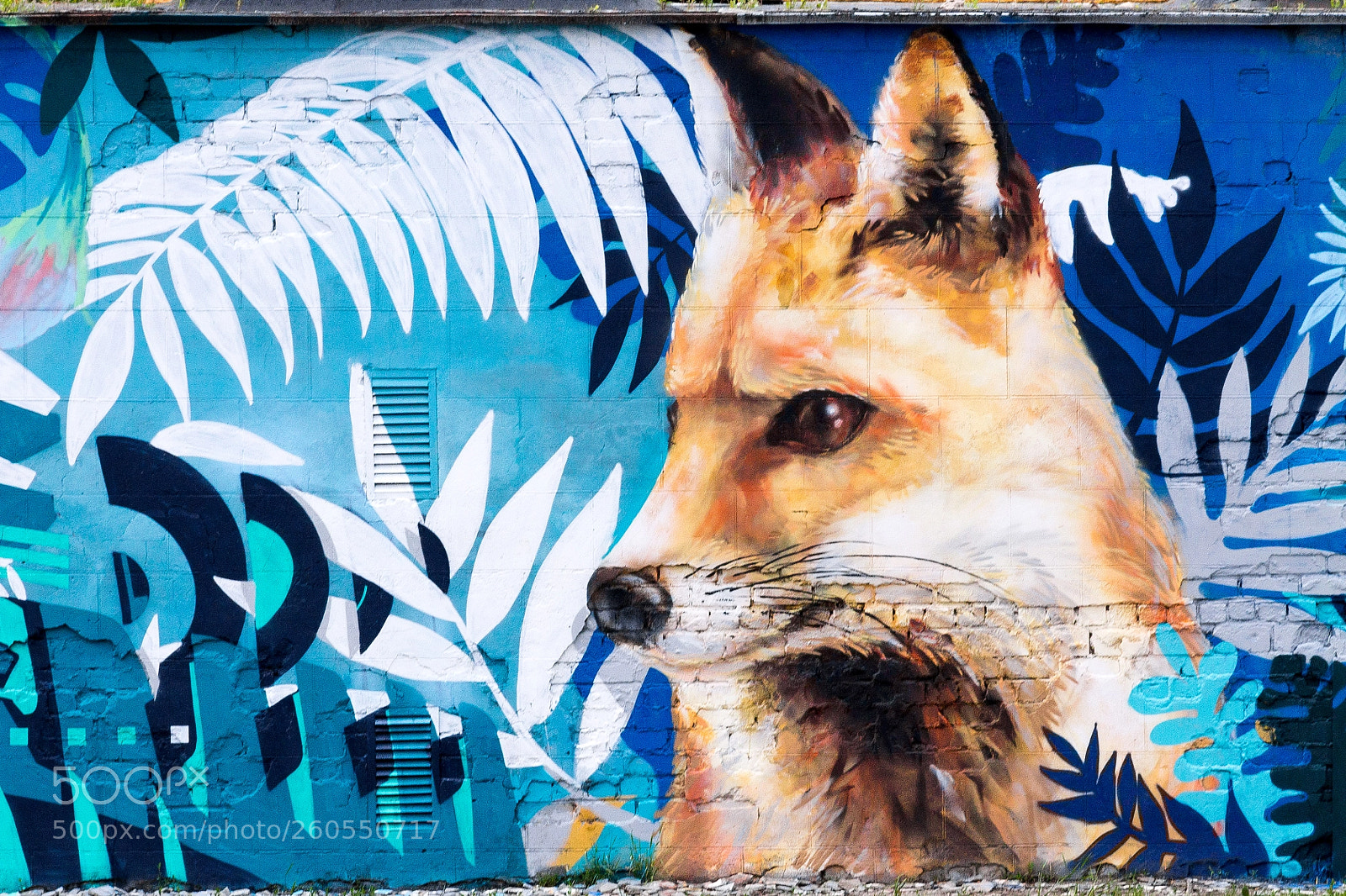 Canon EOS 1100D (EOS Rebel T3 / EOS Kiss X50) sample photo. Street art photography