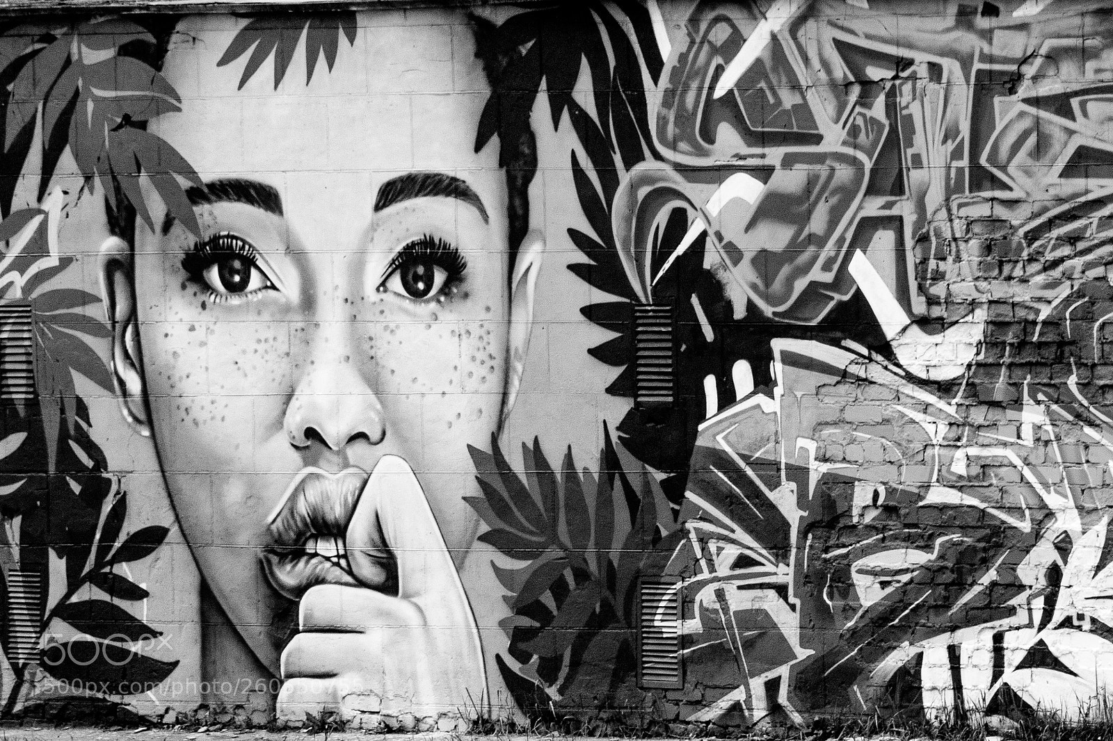 Canon EOS 1100D (EOS Rebel T3 / EOS Kiss X50) sample photo. Street art photography