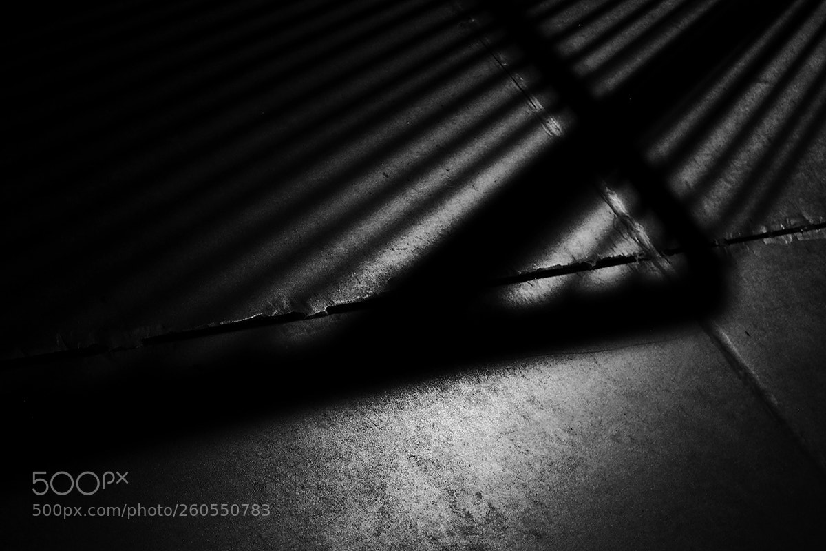 Olympus OM-D E-M5 II sample photo. Light and shadow ... photography