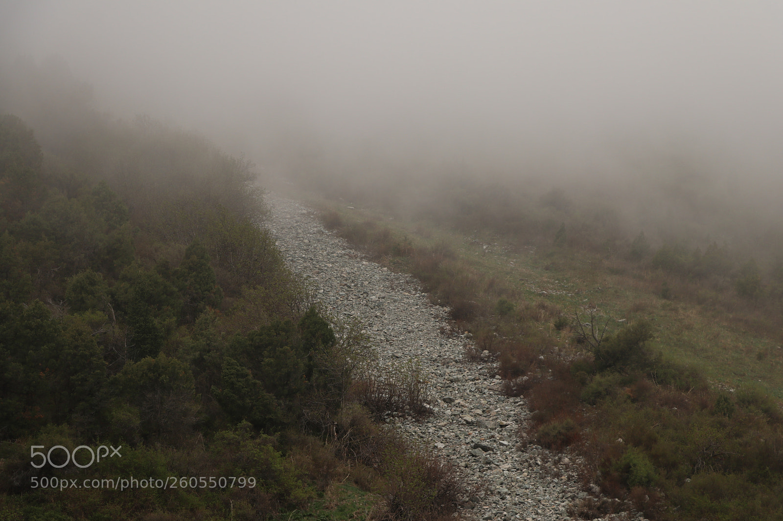 Canon EOS 80D sample photo. Road to nowhere photography