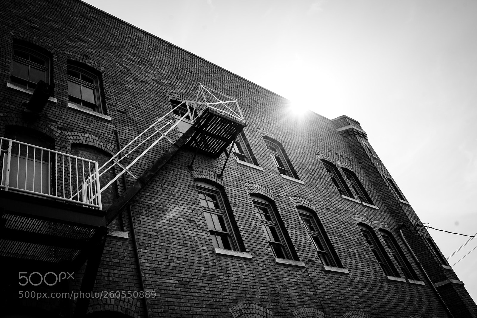 Sony a7R III sample photo. Untitled photography