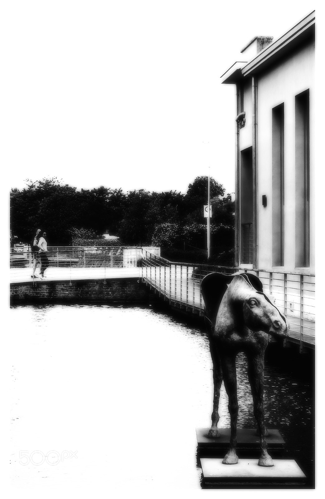 Fujifilm X100F sample photo. Horse photography