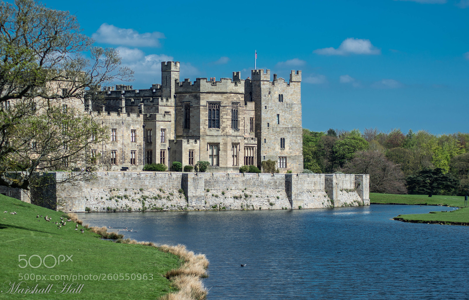 Nikon D7200 sample photo. Raby castle pond photography