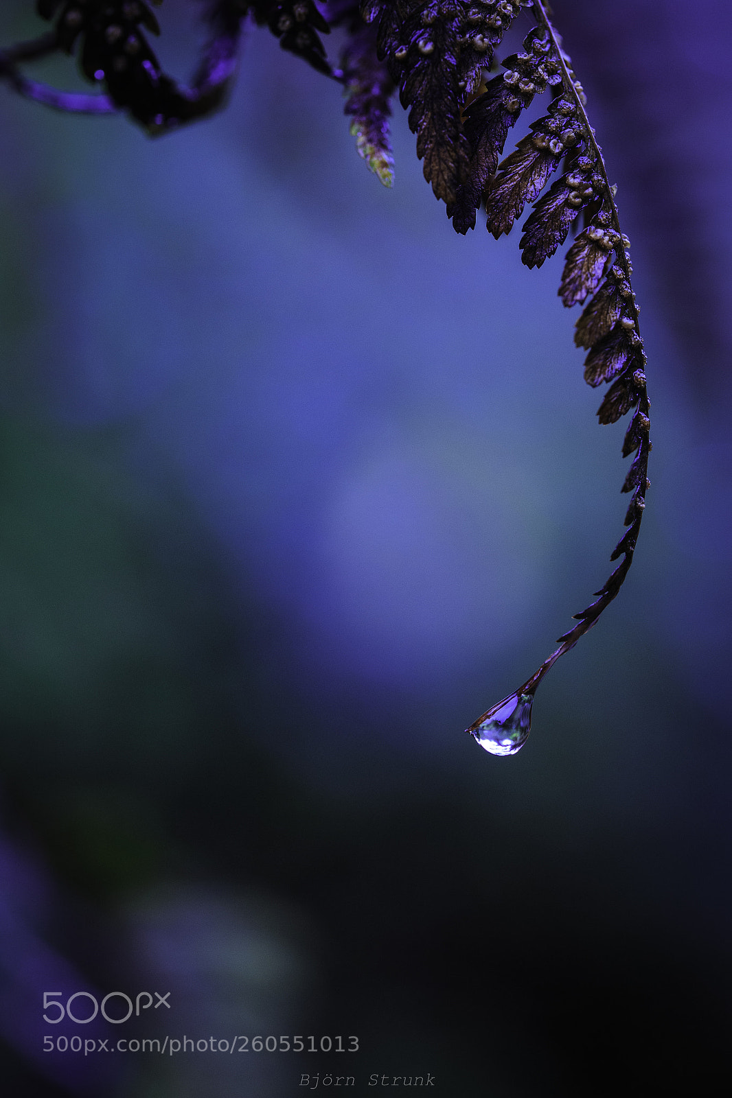 Canon EOS 6D sample photo. Fahrn photography