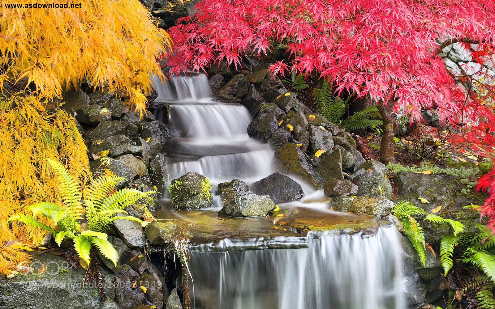 Canon EOS 60D sample photo. Backyard waterfall with japanese photography