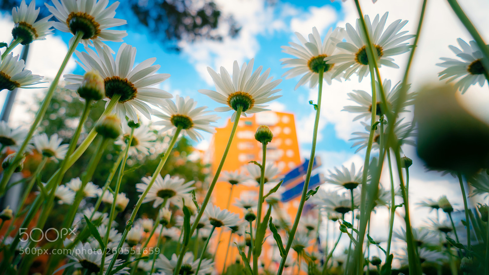 Sony a7 II sample photo. City photography
