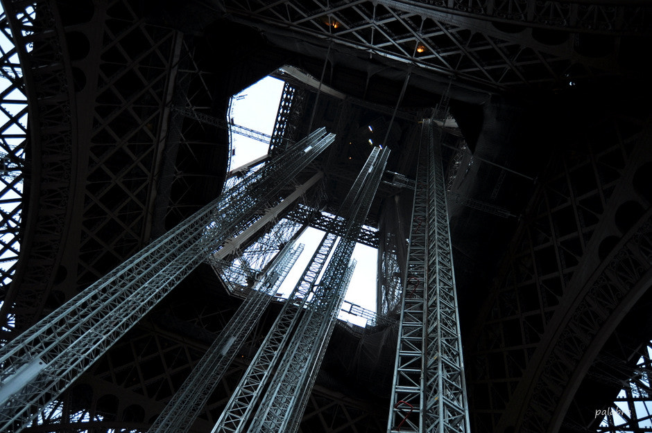 Nikon D90 sample photo. ... photography