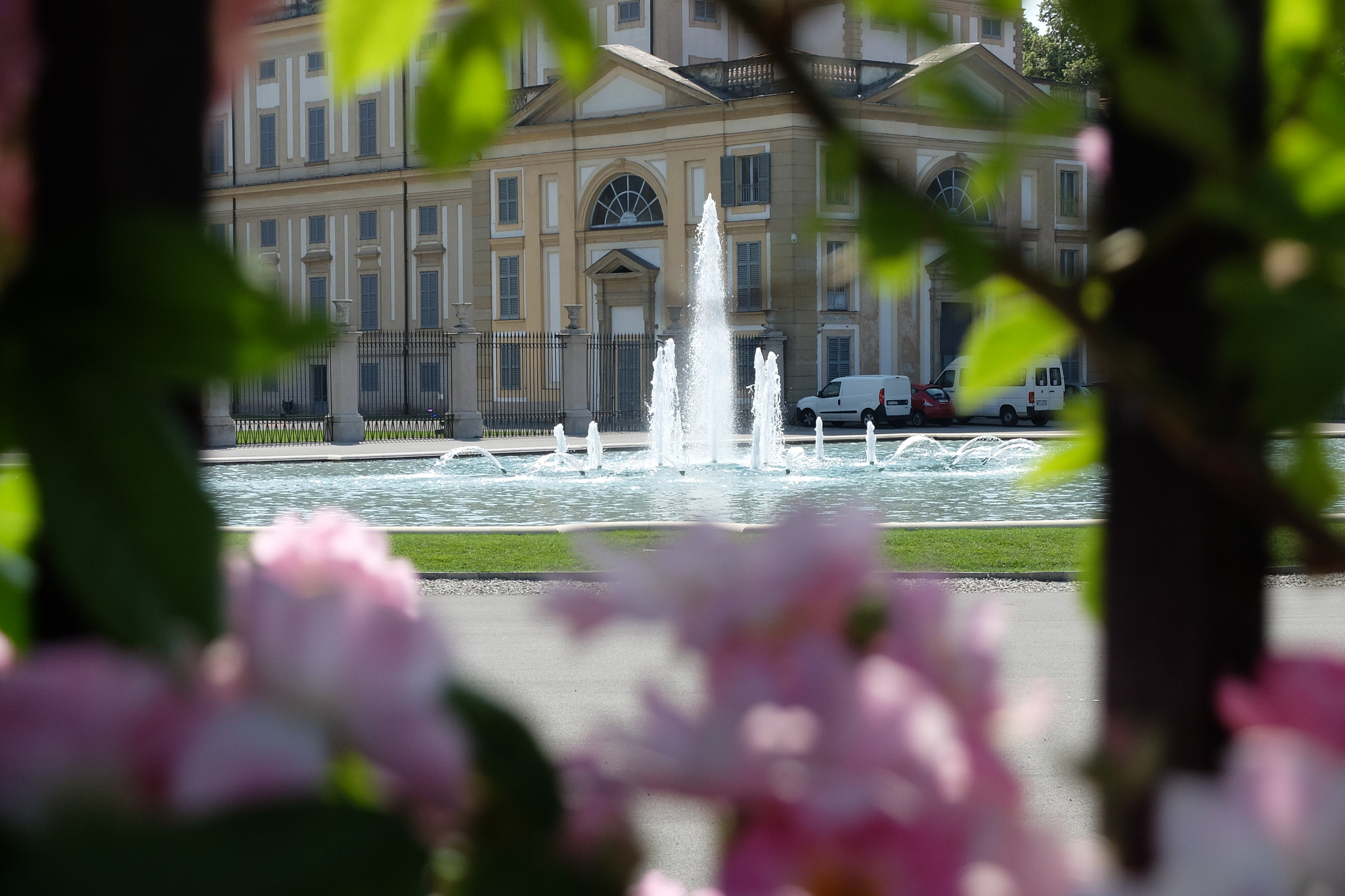 Fujifilm X20 sample photo. Il roseto photography