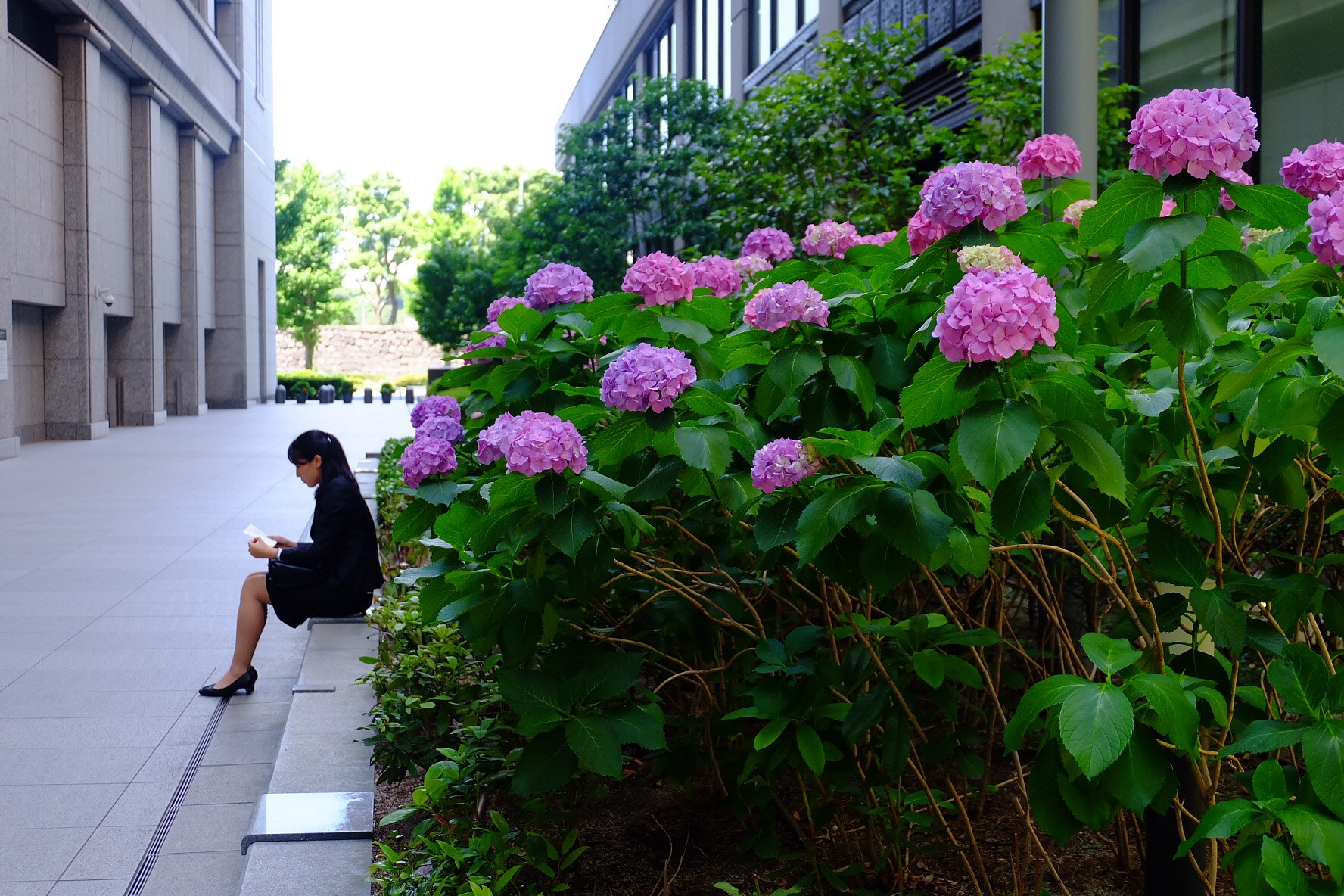 Fujifilm X-A1 sample photo