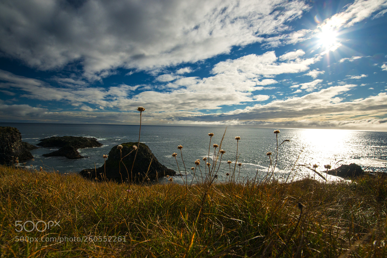 Nikon D800 sample photo. Island photography