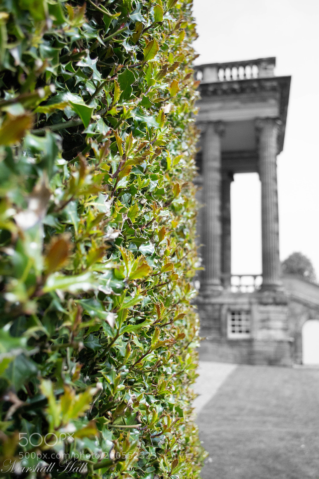 Nikon D7200 sample photo. Seaton deleval holly photography
