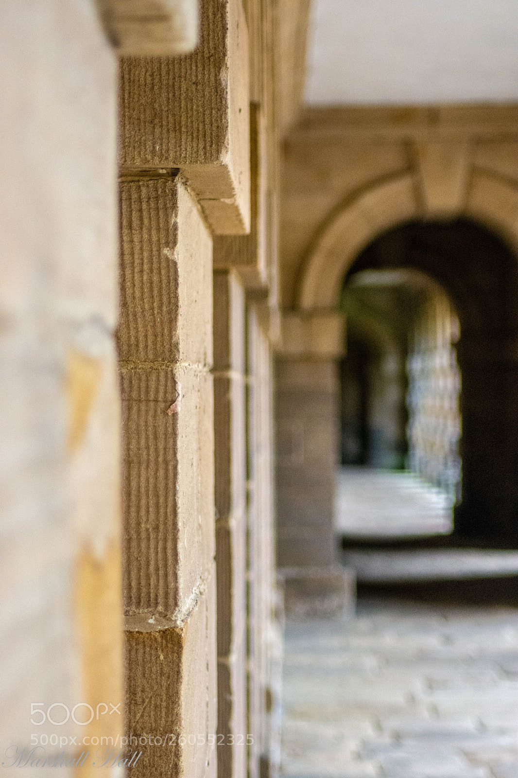 Nikon D7200 sample photo. Seaton deleval walkway photography