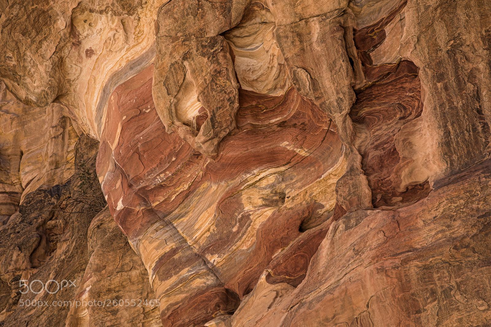 Nikon D810 sample photo. Orange and red layers photography