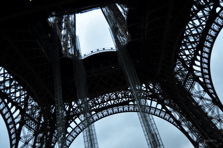 Nikon D90 sample photo. ... photography