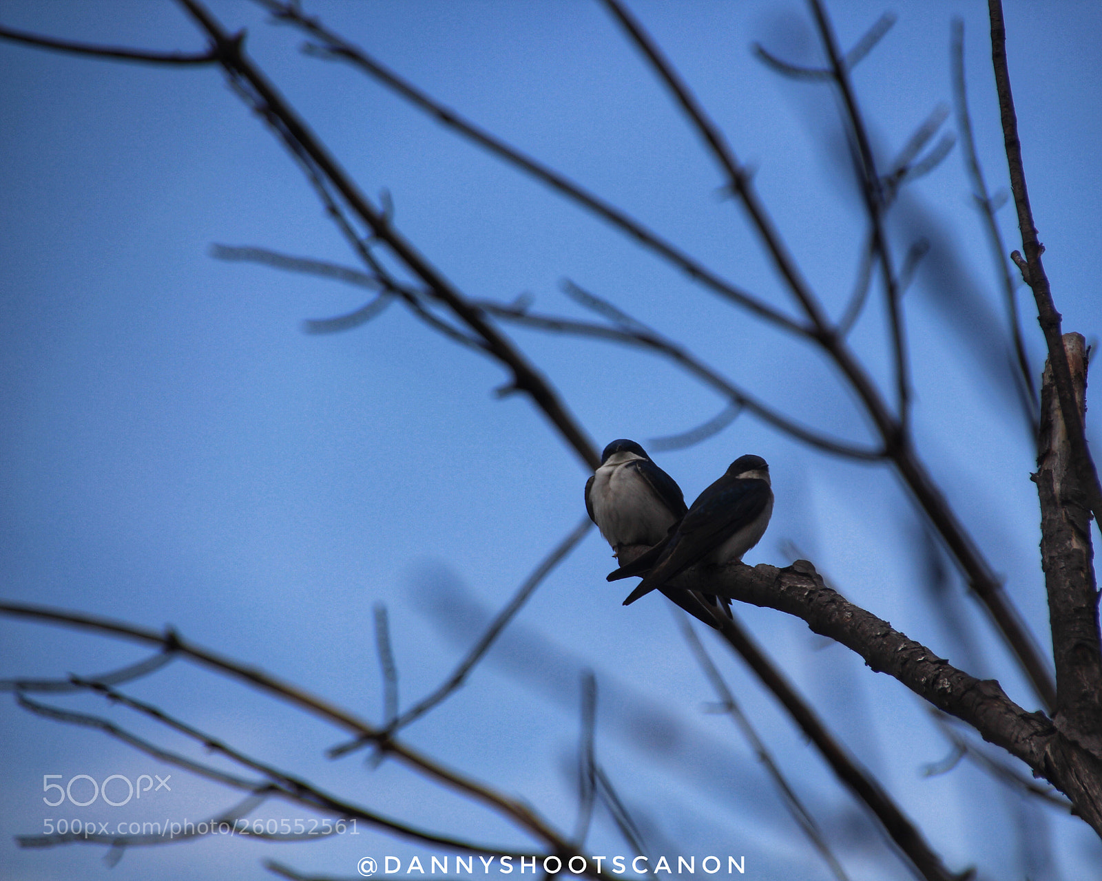 Canon EOS 700D (EOS Rebel T5i / EOS Kiss X7i) sample photo. Untitled photography