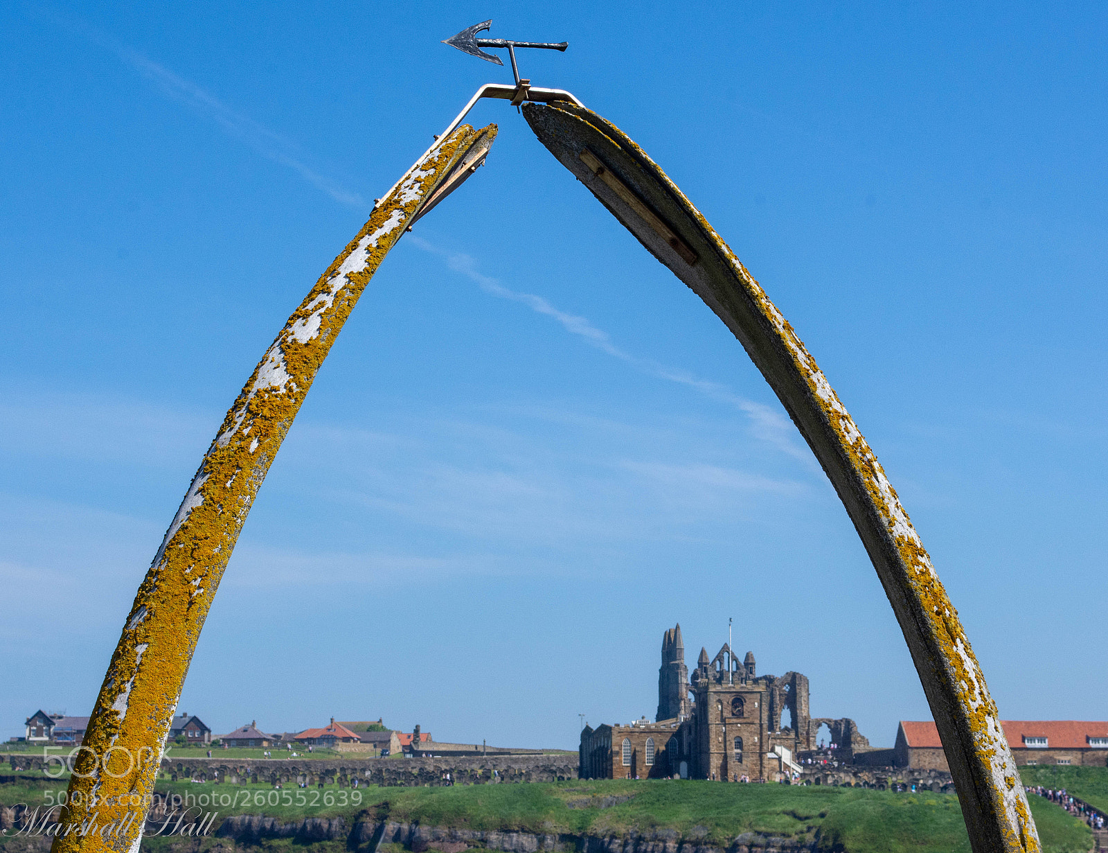 Nikon D7200 sample photo. Whale bones and abbey photography
