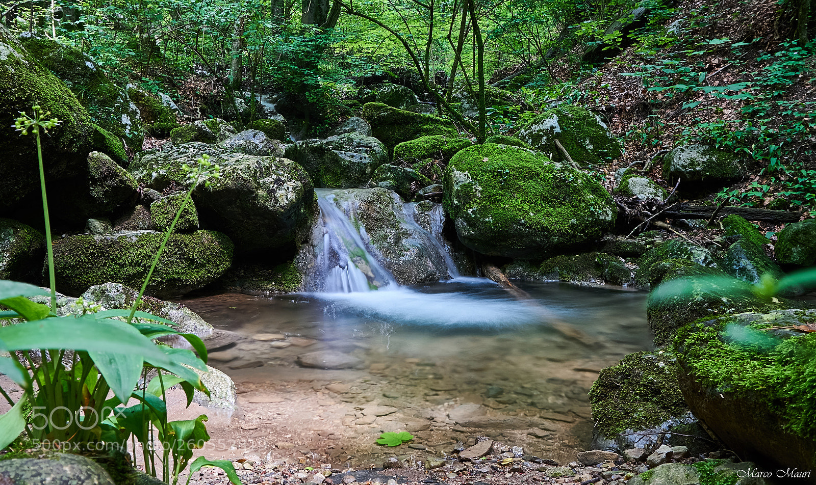 Sony a6000 sample photo. Sentiero geologico canzo photography