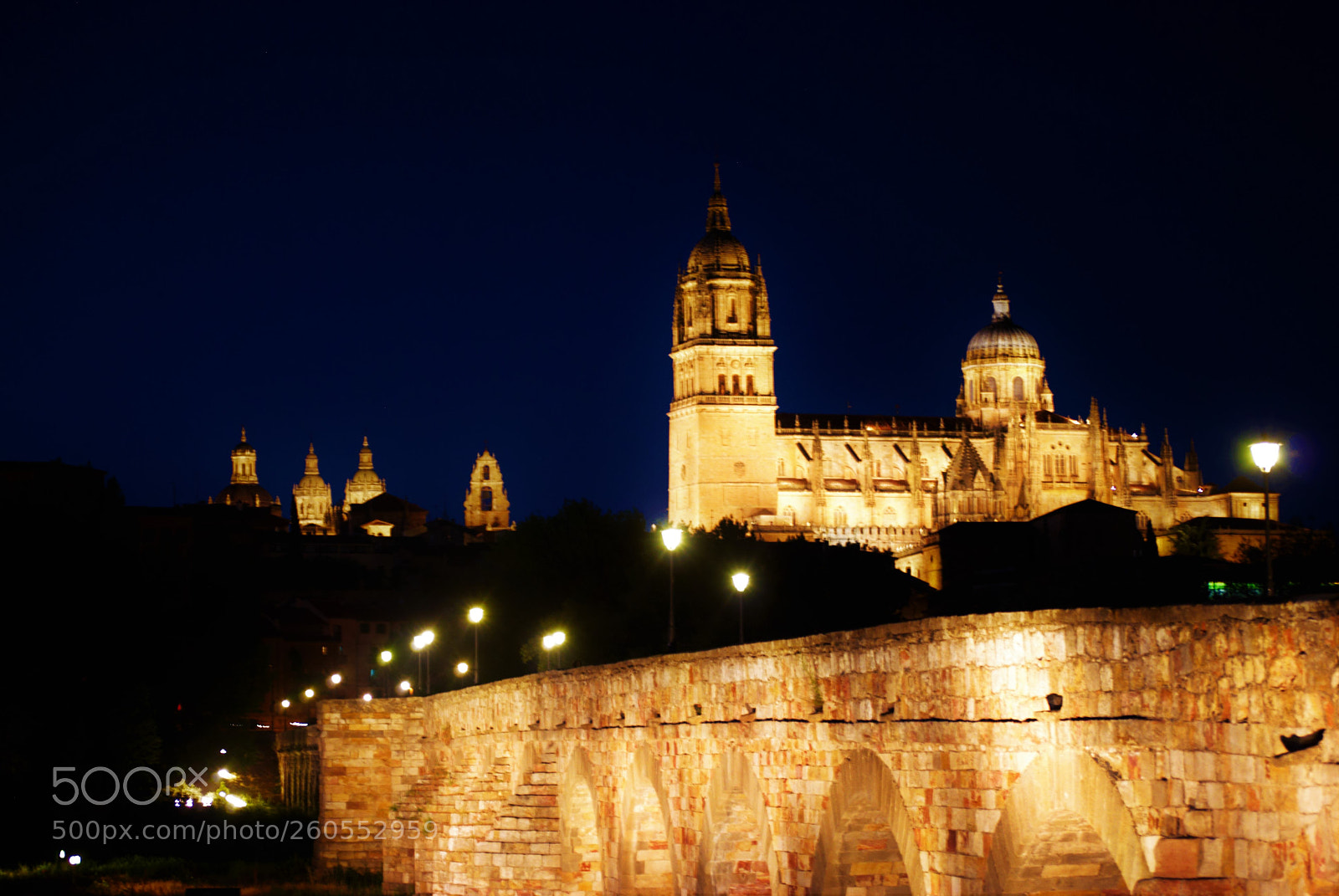 Nikon D60 sample photo. Salamanca @ night photography