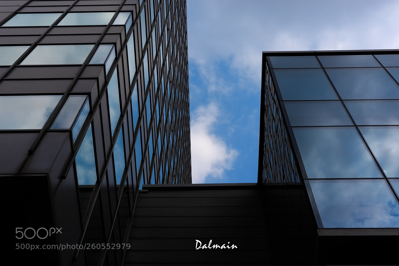 Nikon D610 sample photo. A reflection of mankind  photography