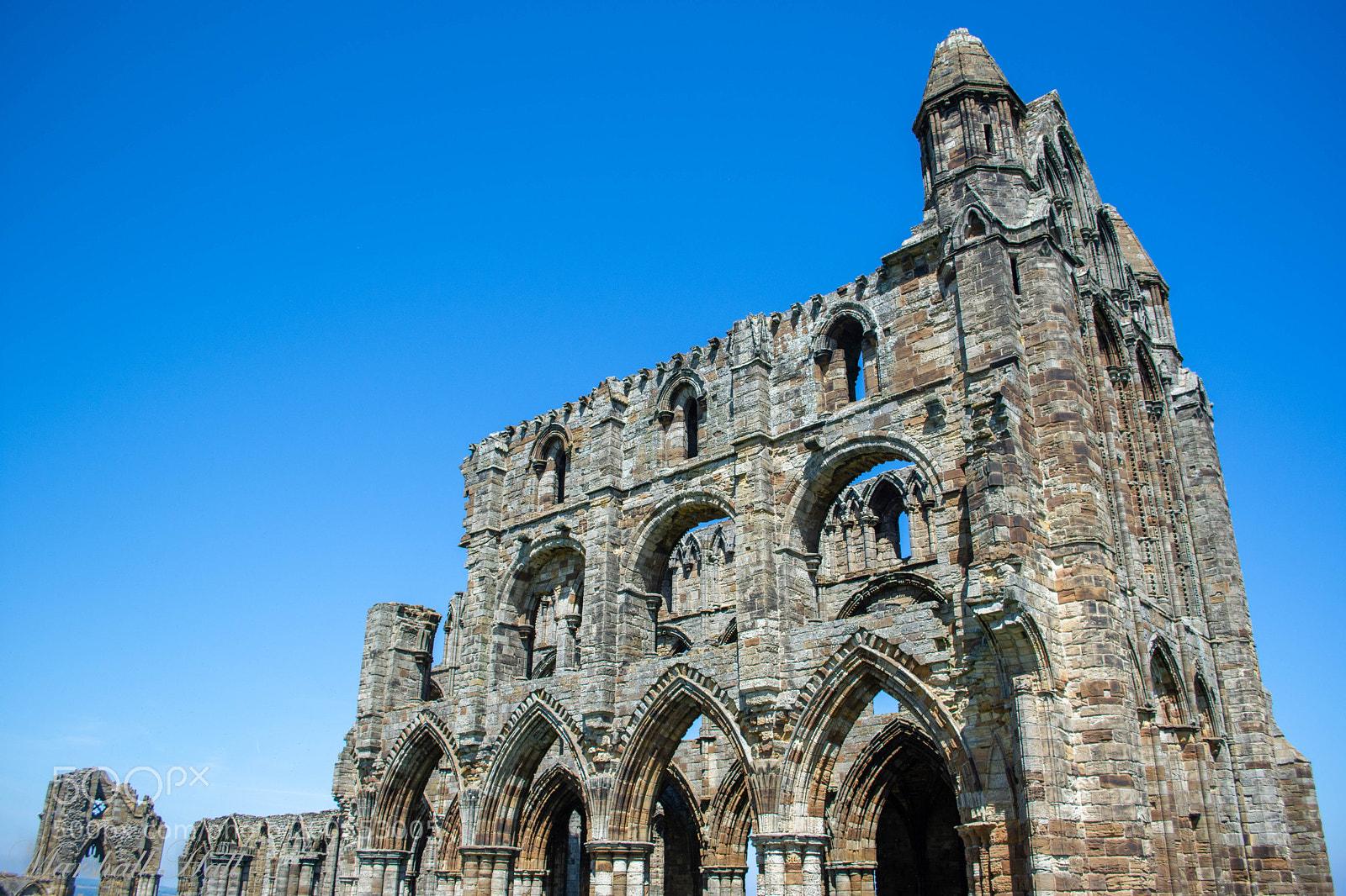 Nikon D7200 sample photo. Whitby abbey photography