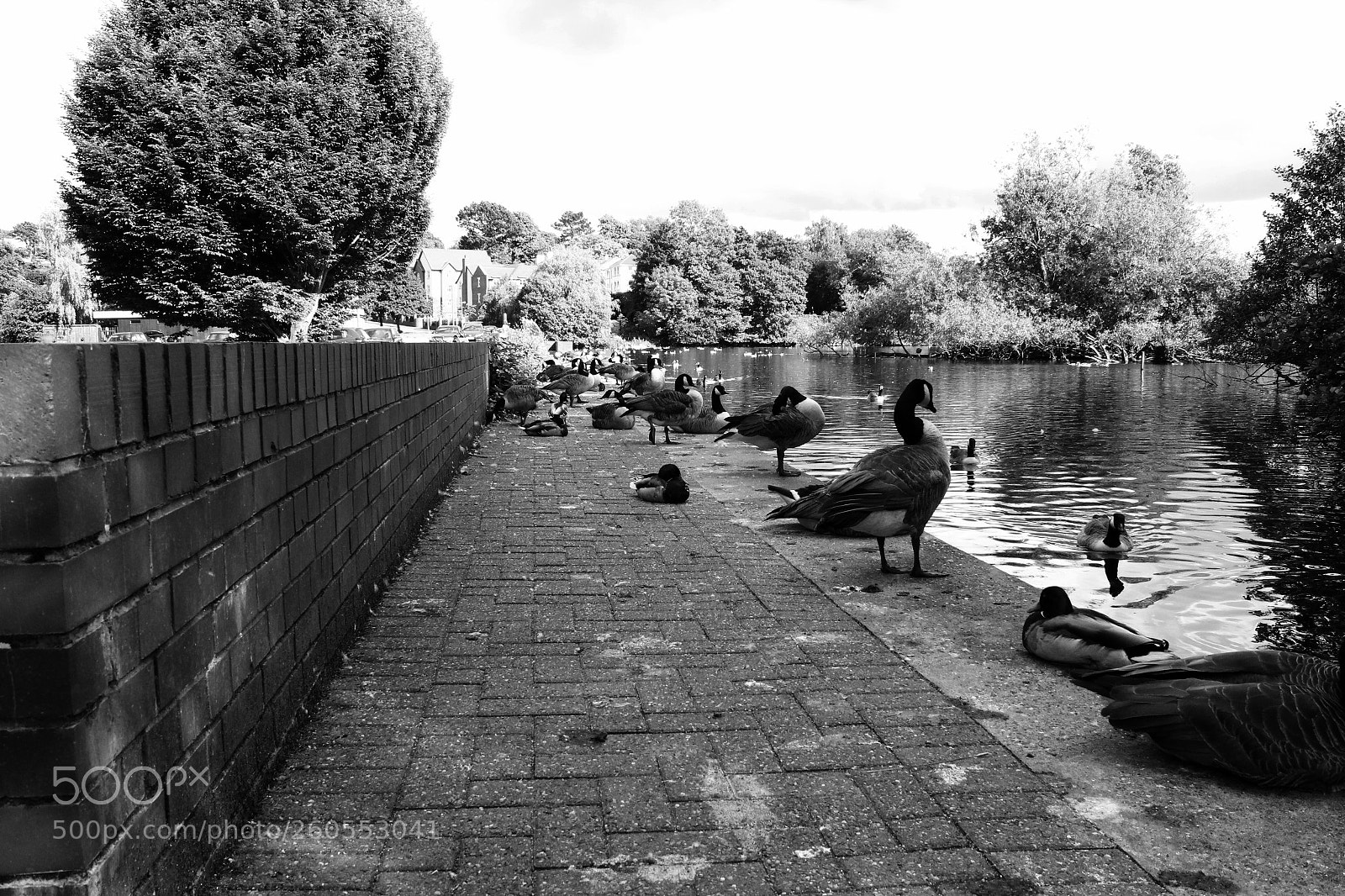 Canon EOS 1300D (EOS Rebel T6 / EOS Kiss X80) sample photo. Sutton park lake photography