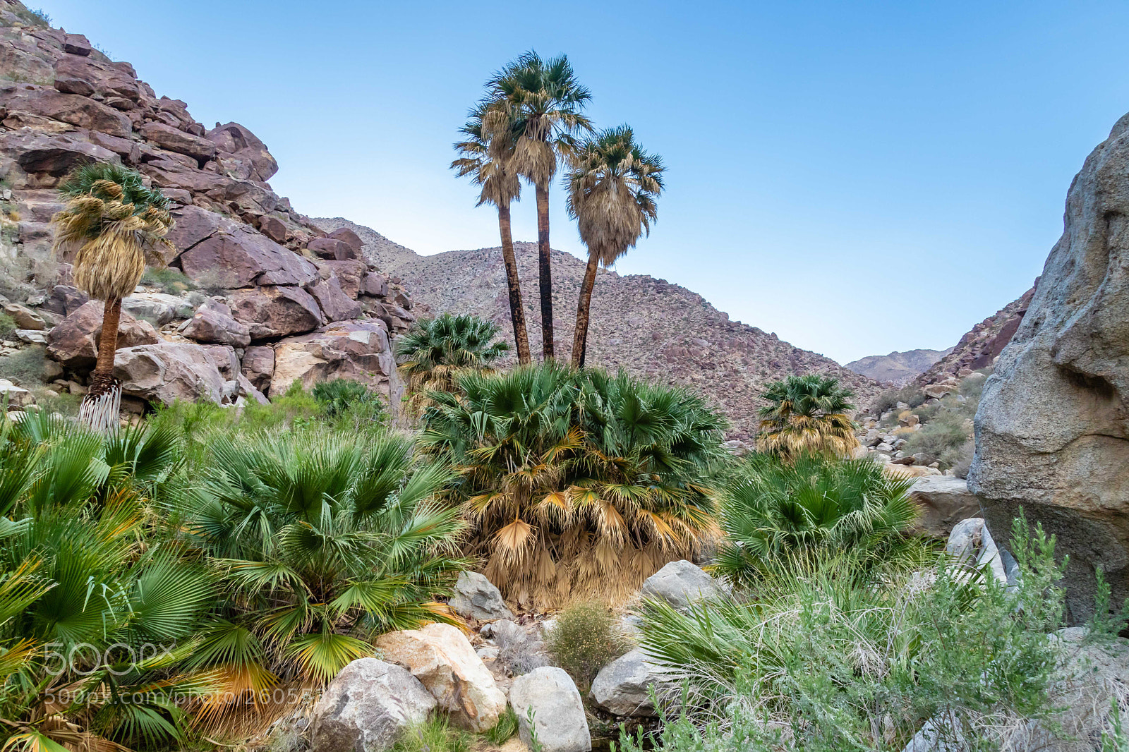 Canon EOS 6D Mark II sample photo. Anza borrego desert state photography