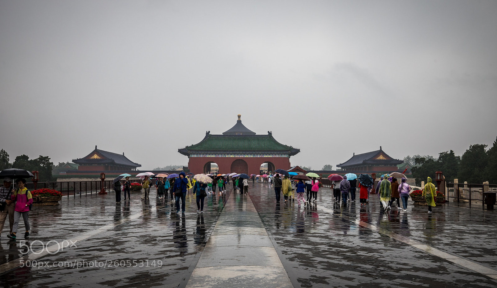 Canon EOS 6D Mark II sample photo. Colors of rain photography