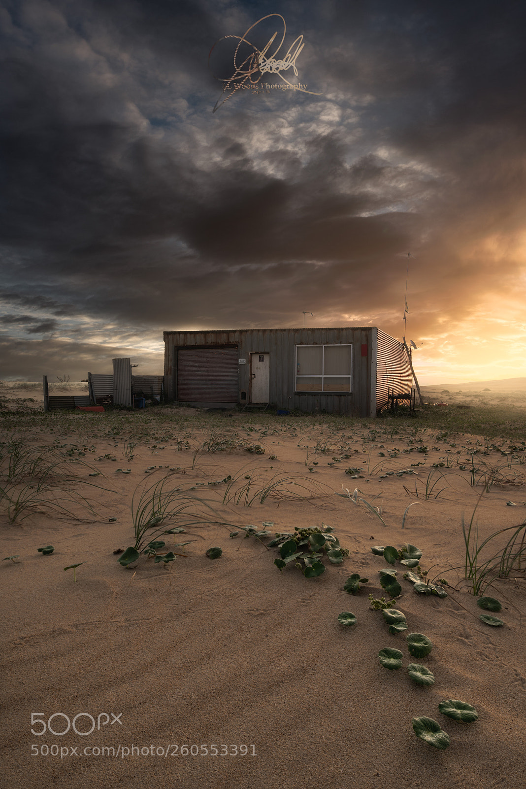 Nikon D750 sample photo. The shed photography
