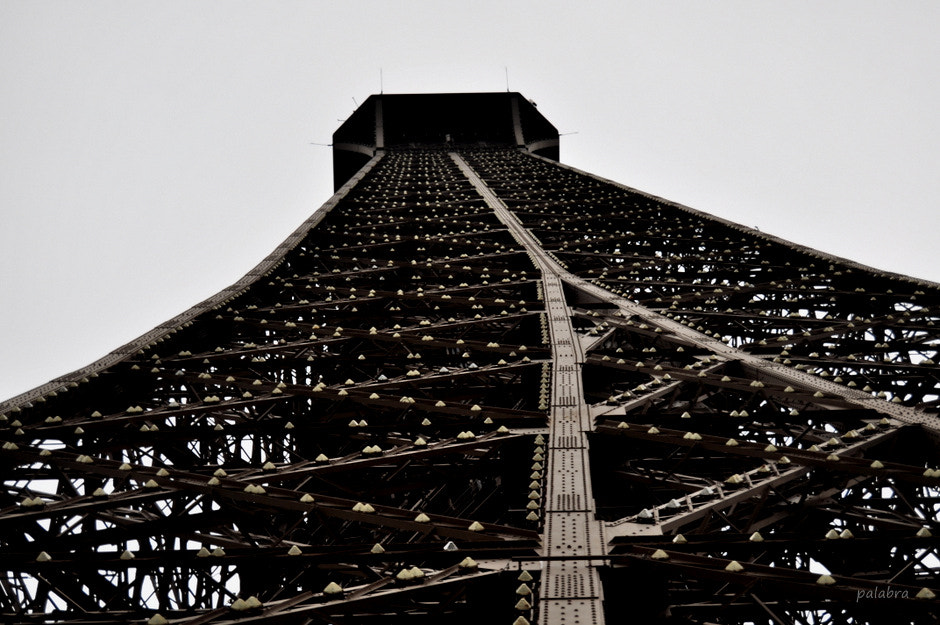 Nikon D90 sample photo. ... photography