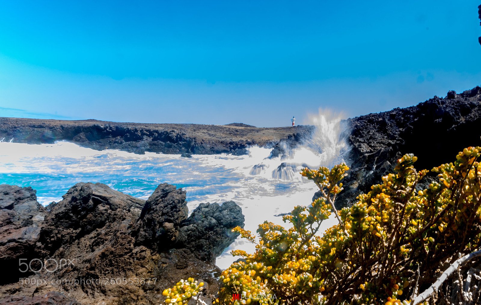Nikon D7500 sample photo. Waves and flowers photography