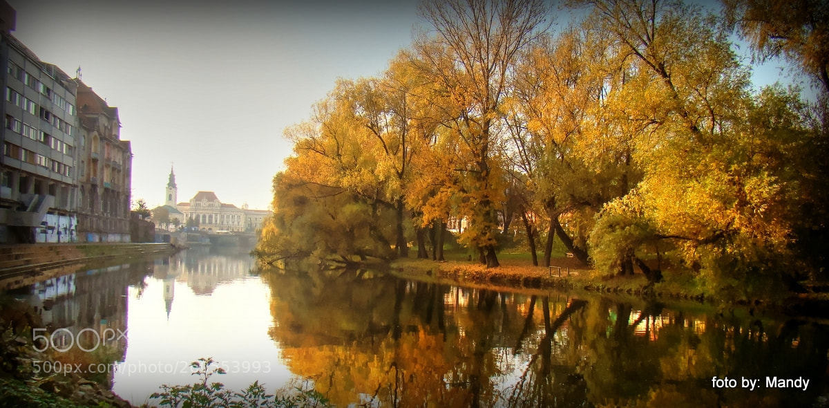 Sony Cyber-shot DSC-H50 sample photo. Landscape photography