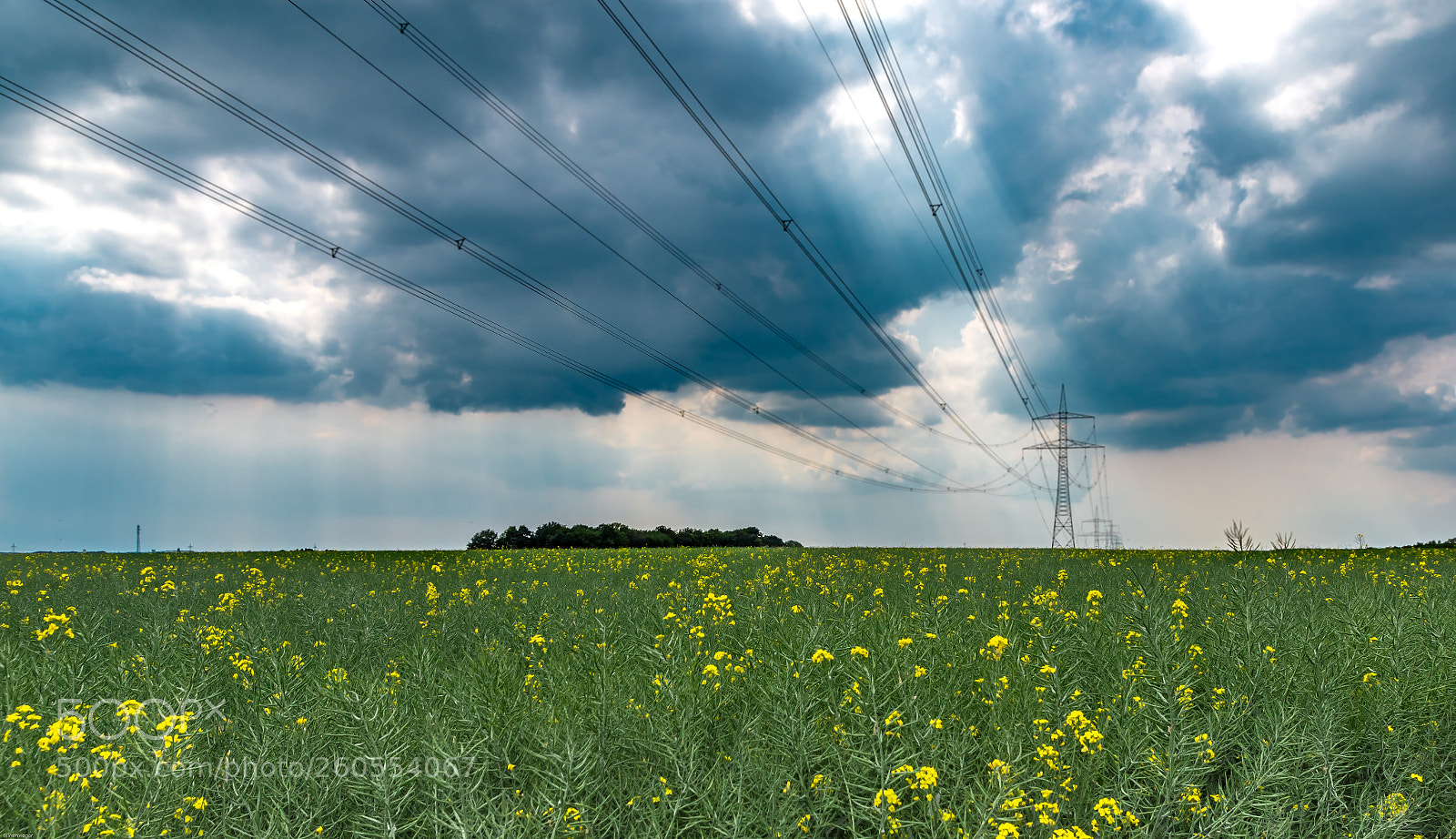 Nikon D7200 sample photo. Powerline photography