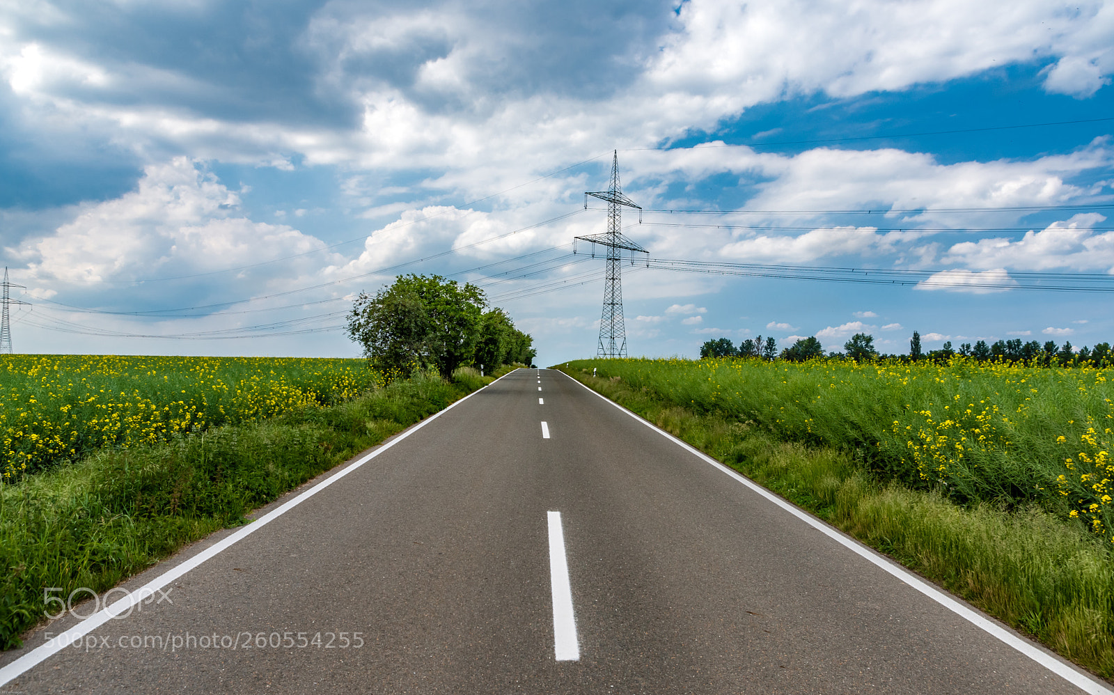 Nikon D7200 sample photo. My way photography