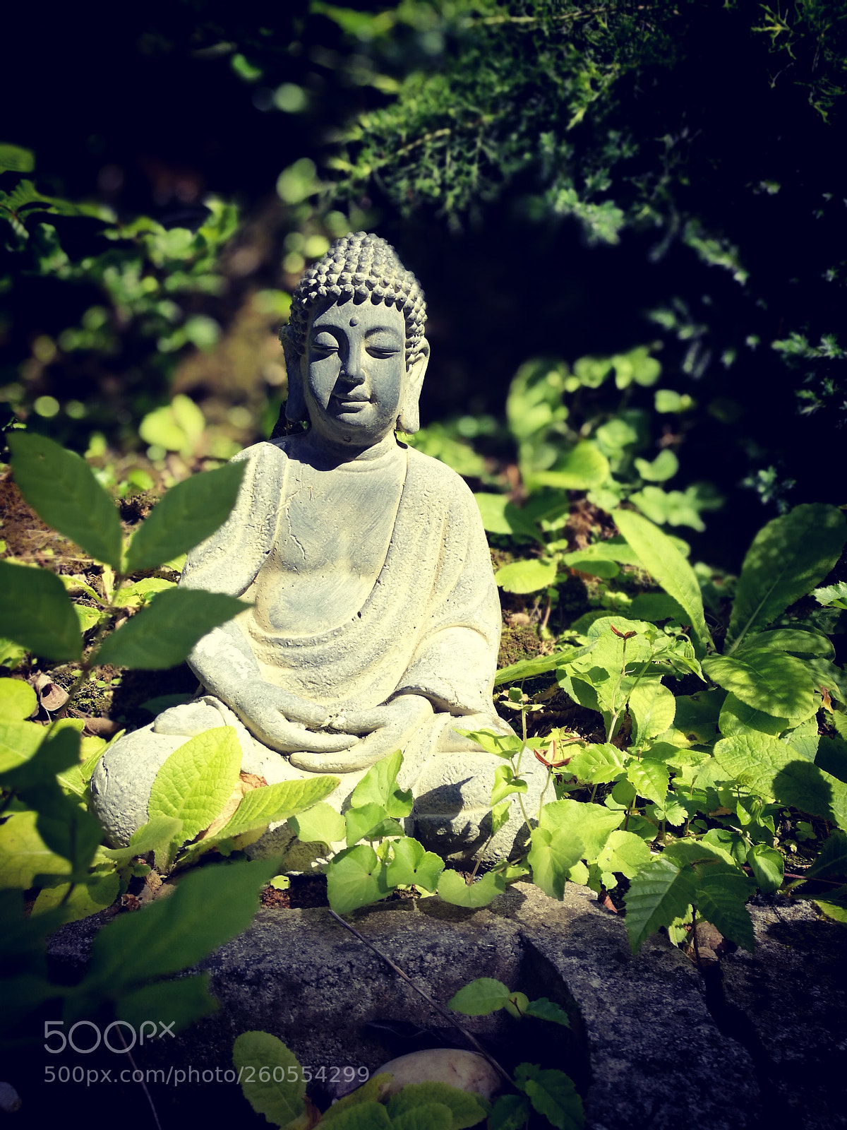 HUAWEI P9 sample photo. Untitled photography