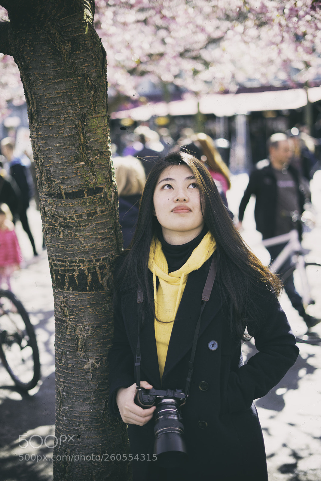 Sony a7R sample photo. Song photography