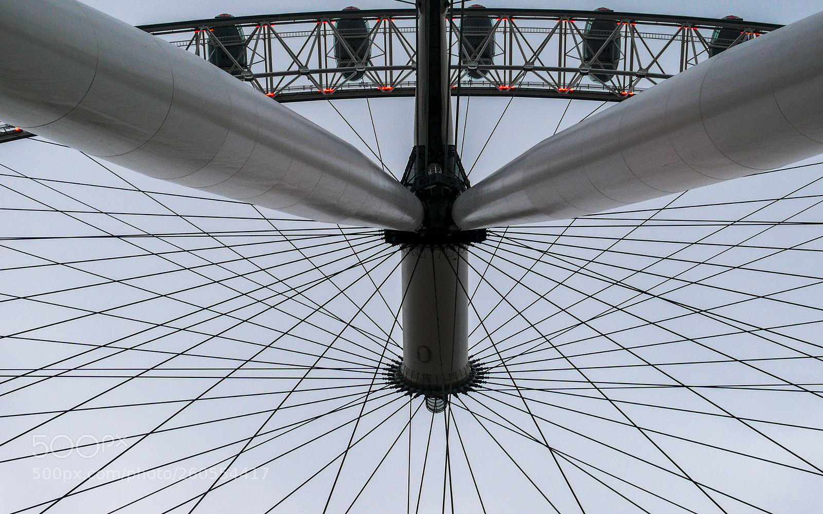 Panasonic DMC-FZ50 sample photo. Legs of the eye photography