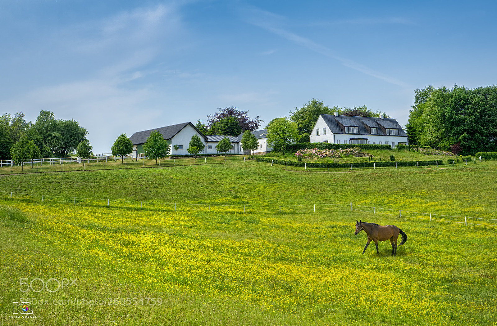 Sony a7R II sample photo. Silkeborg - danmark photography